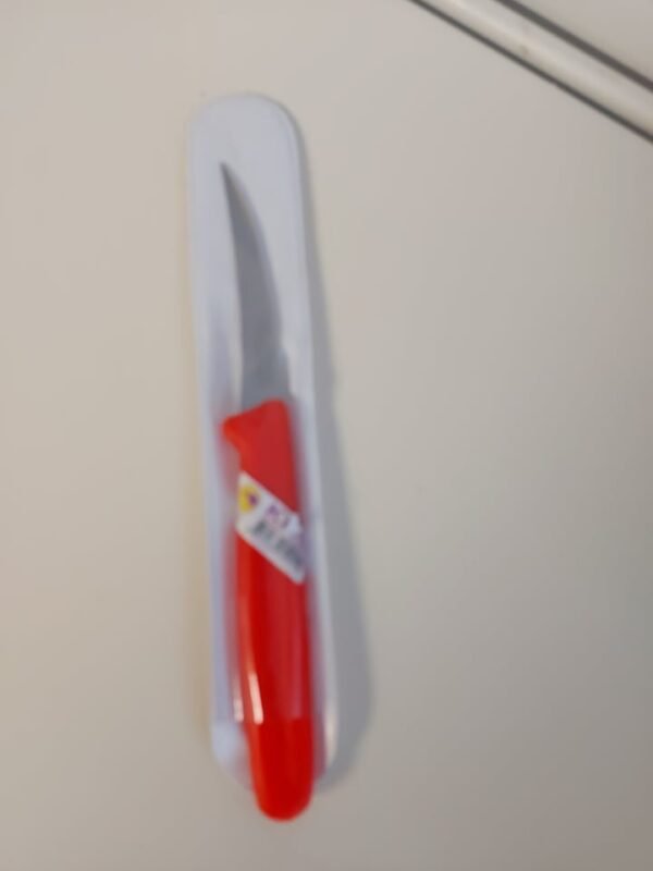 carv knife kiwi